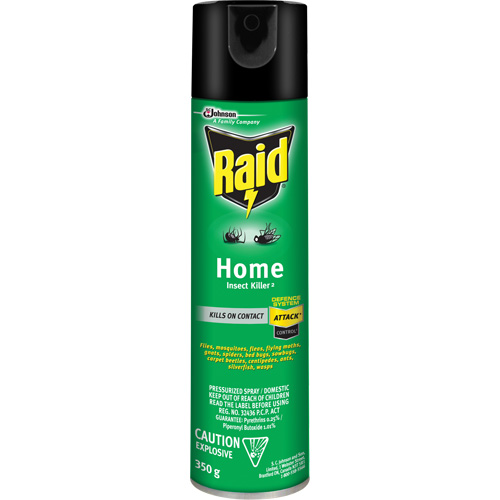 Insecticide pour insectes domestiques Raid, 350 g, &agrave; base de solvant Seaboard Timber Mart