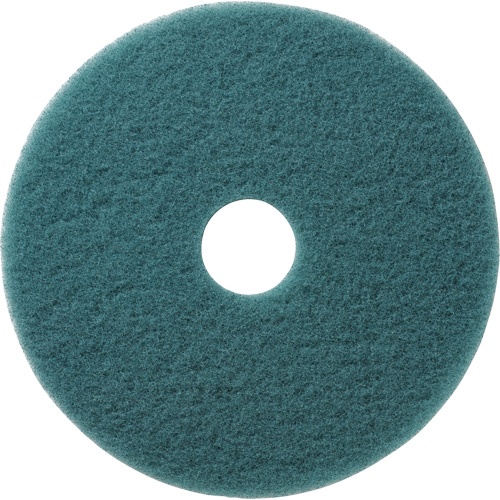 Tampons &agrave; polir pour planchers Aqua, 19", Brunissage, Aqua Seaboard Timber Mart