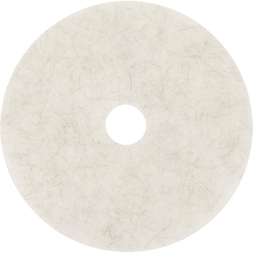 Natural Blend Pad, 17", Burnishing, White Seaboard Timber Mart