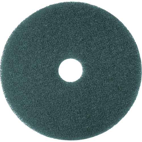 Hi-Performance Pad, 11", Cleaning/Scrubbing, Blue Seaboard Timber Mart