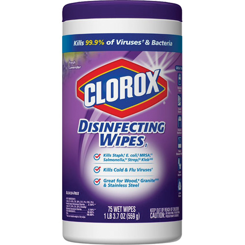 Disinfecting Wipes, 75 Count Seaboard Timber Mart