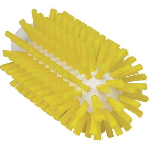 Brosse de 2,5", Soies Ferme, Longueur de 5-3/5", Jaune Seaboard Timber Mart
