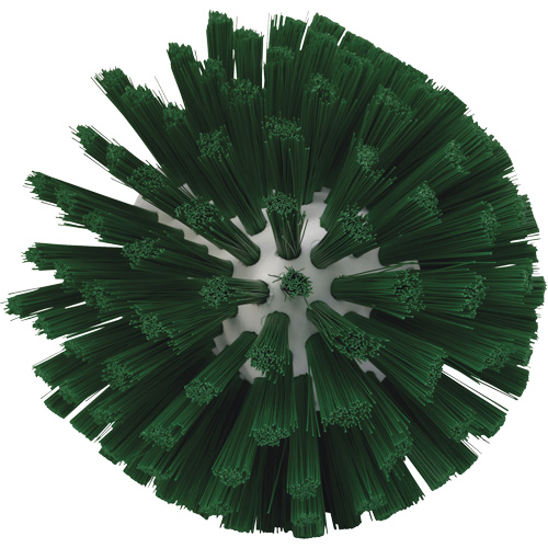Brosse de 5", Soies Moyen, Longueur de 4-1/2", Vert Seaboard Timber Mart