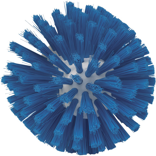 Brosse de 5", Soies Moyen, Longueur de 4-1/2", Bleu Seaboard Timber Mart