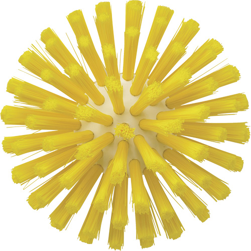 Brosse de 5", Soies Moyen, Longueur de 4-1/2", Jaune Seaboard Timber Mart