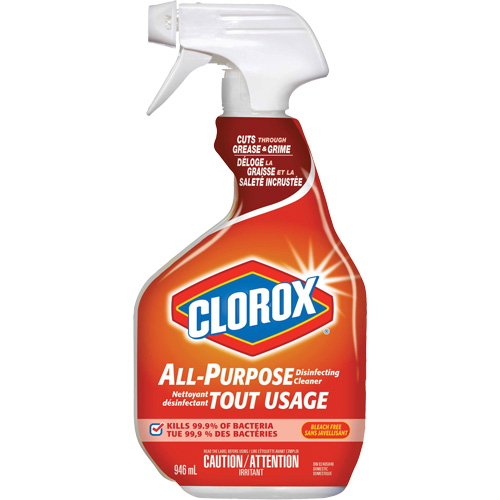 All-Purpose Disinfecting Cleaner Spray, 946 ml, Trigger Bottle Seaboard Timber Mart