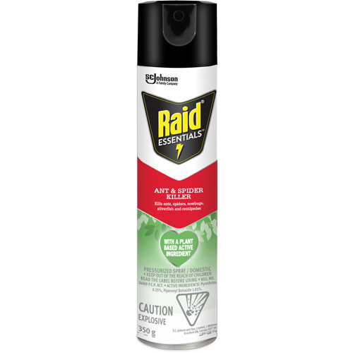 Insecticide pour araign&eacute;es et fourmis Essentials Raid, 350 g, Canette a&eacute;rosol Seaboard Timber Mart