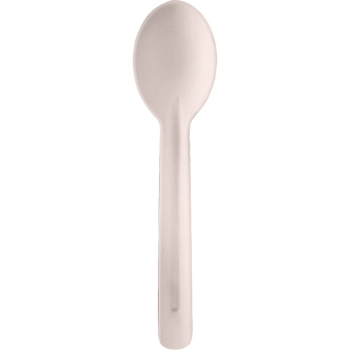 Bagasse Compostable Spoons Seaboard Timber Mart