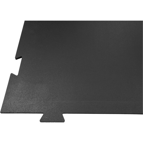 Plancher pour centre d'entraînement &agrave; la maison Voyager Seaboard Timber Mart