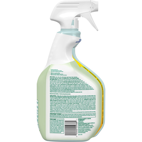 CloroxPro Clorox EcoClean Disinfecting Cleaner, 946 ml, Trigger Bottle Seaboard Timber Mart