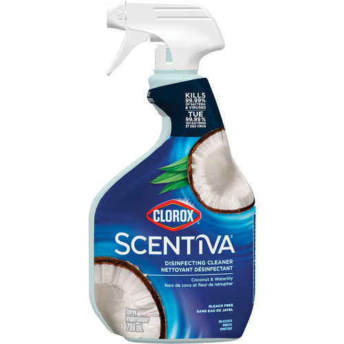 Vaporisateur nettoyant d&eacute;sinfectant multi-surfaces, 709 ml, Bouteille &agrave; g&acirc;chette Seaboard Timber Mart