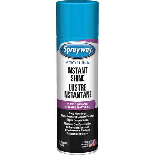Pro Line Instant Shine for Plastic Surfaces, 11 oz., Aerosol Can Seaboard Timber Mart
