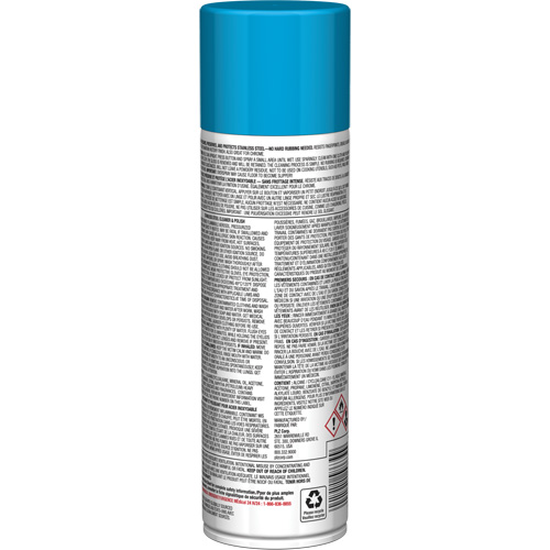 Nettoyant & polis pour acier inoxydable Pro Line, 15 oz, Canette a&eacute;rosol Seaboard Timber Mart