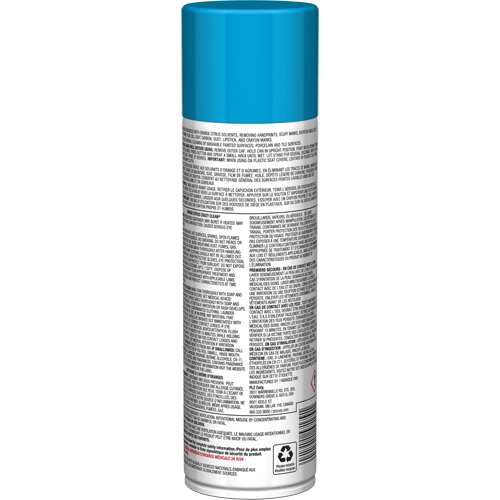Nettoyant tout usage Pro Line Crazy Clean, 19 oz., Canette a&eacute;rosol Seaboard Timber Mart