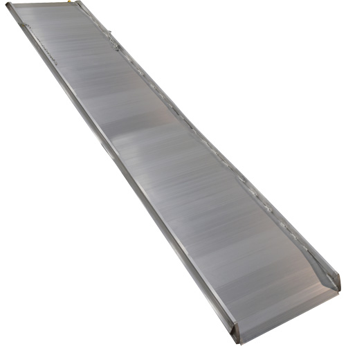 Rampe de promenade en aluminium, Capacit&eacute; de 1000 lb, 38" la x 193-1/8" lo Seaboard Timber Mart