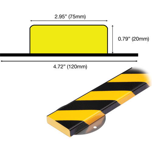 WPK-S Profile 1M Surface Protection Bumper Guard Wall Protection Kit, 3.33' (1.015 m) Long Seaboard Timber Mart