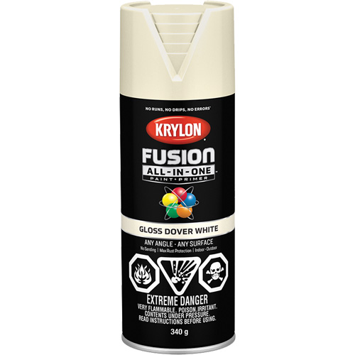 Peinture &agrave; pulv&eacute;riser tout en un Fusion, Blanc Dover, Brillant, 12 oz, Canette a&eacute;rosol Seaboard Timber Mart