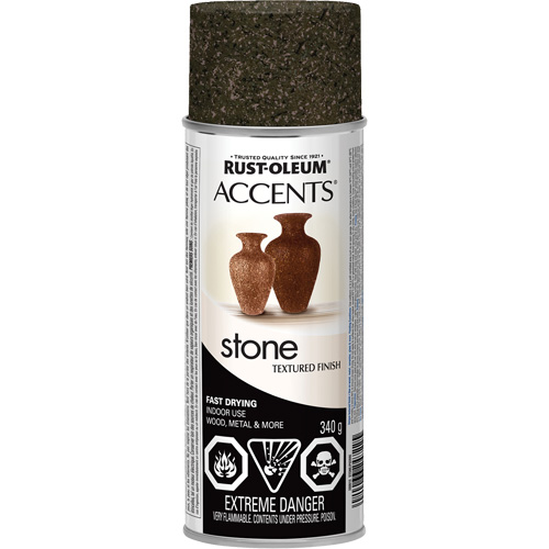 Accents&reg; Stone Creations Spray Paint, Aerosol Can, Granite Stone Seaboard Timber Mart