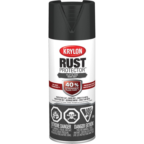 Peinture &agrave; &eacute;mail Rust Protector, Noir, Tr&egrave;s mat, 12 oz, Canette a&eacute;rosol Seaboard Timber Mart