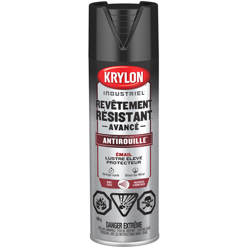 Peinture Tough Coat avec technologie Rust Barrier, Noir, Tr&egrave;s brillant, 425 g, Canette a&eacute;rosol Seaboard Timber Mart