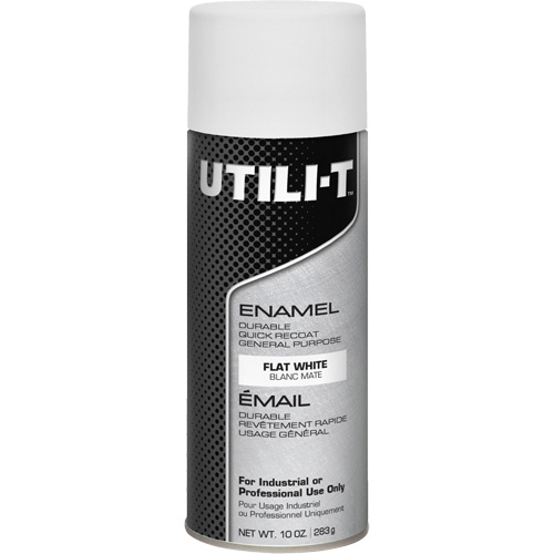 Peinture-&eacute;mail en a&eacute;rosol polyvalent UTILI-T, Blanc, Plat, 10 oz/283 g, Canette a&eacute;rosol Seaboard Timber Mart