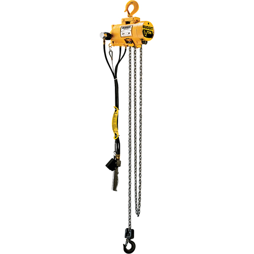 Budgit&reg; Air Chain Hoists Seaboard Timber Mart