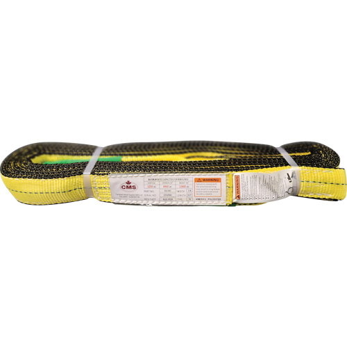 &eacute;lingue en sangle de polyester, Pli Double, Oeillets renvers&eacute;s, Type 4, 2" la x 20' lo, Capacit&eacute; verticale 6400 lb Seaboard Timber Mart