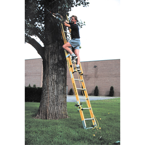 Industrial Heavy-Duty Extension Ladders (6200 Series), 375 lbs. Cap., 13' H, Grade 1AA Seaboard Timber Mart