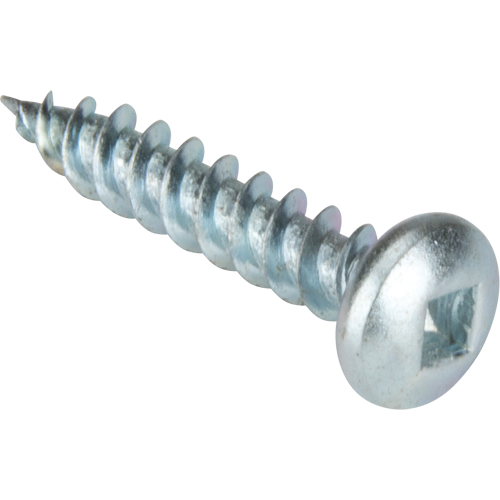 Tapping Screw Pan Head, #10 x 1-1/4" L, Zinc Plated Seaboard Timber Mart