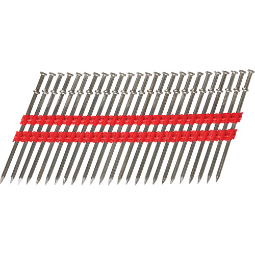 16D Collated Duplex Nails Seaboard Timber Mart