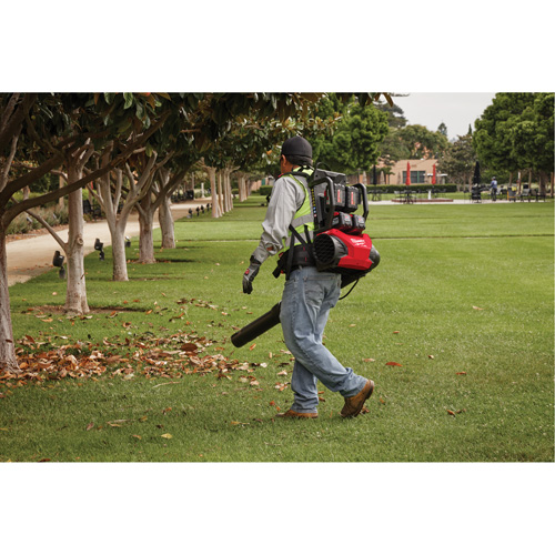 Ensemble souffleur dorsal &agrave; deux piles M18 FUEL (outil seulement), 18 V, Vitesse d'air 155 mi/h, &agrave; pile Seaboard Timber Mart