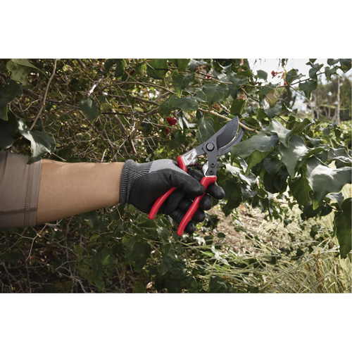 1” Angled Pruning Shears Seaboard Timber Mart