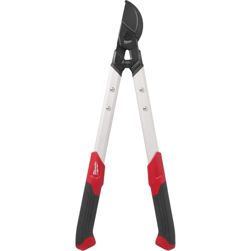 S&eacute;cateur 1-1/2" &agrave; lame en acier &agrave; haute teneur en carbone Seaboard Timber Mart