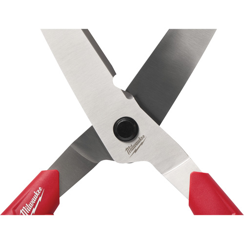 Hedge Shears? with Hollow Handle Seaboard Timber Mart