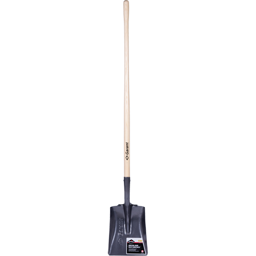 Pro Square Point Shovel, Wood, Tempered Steel Blade, Straight Handle, 48" Long Seaboard Timber Mart