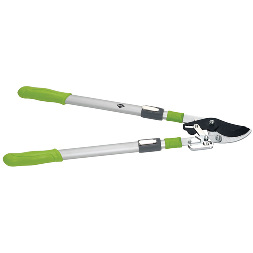 Lopping Shears - By-Pass Ratchet Style Seaboard Timber Mart