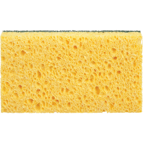 Utility Sponges, Cellulose, 6" W x 3-1/2" L Seaboard Timber Mart