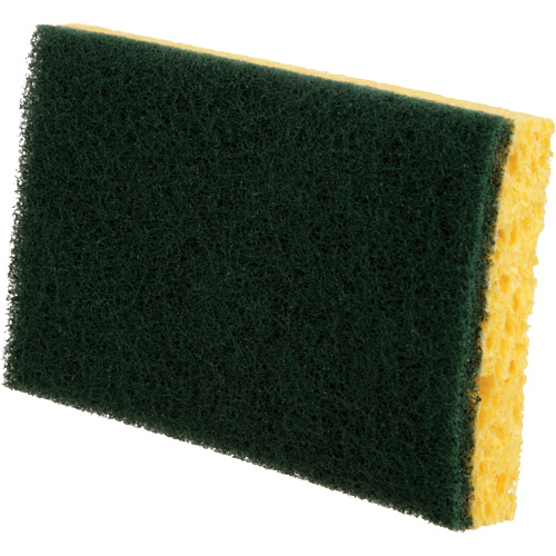 Utility Sponges, Cellulose, 6" W x 3-1/2" L Seaboard Timber Mart