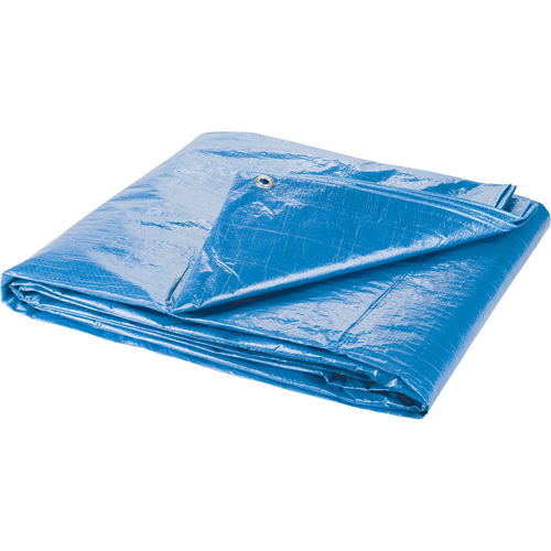 Tarp, Standard Duty, Blue, 7' x 5' x 4 mils Seaboard Timber Mart