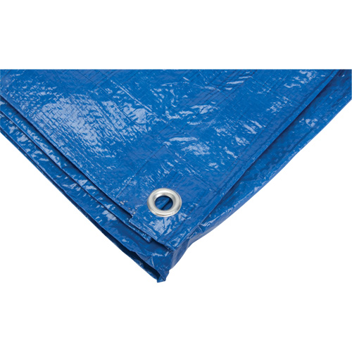 Tarp, Standard Duty, Blue, 7' x 5' x 4 mils Seaboard Timber Mart