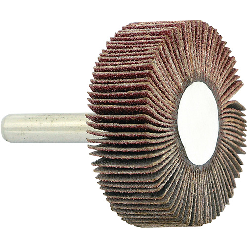 Disque &agrave; lamelles mont&eacute; sur mandrin, Grain 80, 1-1/2" x 1/2" x 1/4" Seaboard Timber Mart