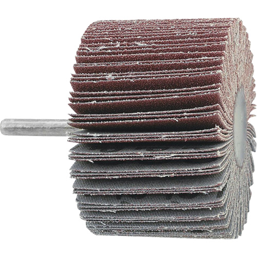 Mounted Flapwheel, 60 Grit, 3" x 1" x 1/4" Seaboard Timber Mart