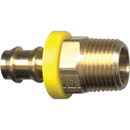 Grip-Tite Male Pipe Hose Fitting, 1/4" x 1/4" Dia, Brass Seaboard Timber Mart