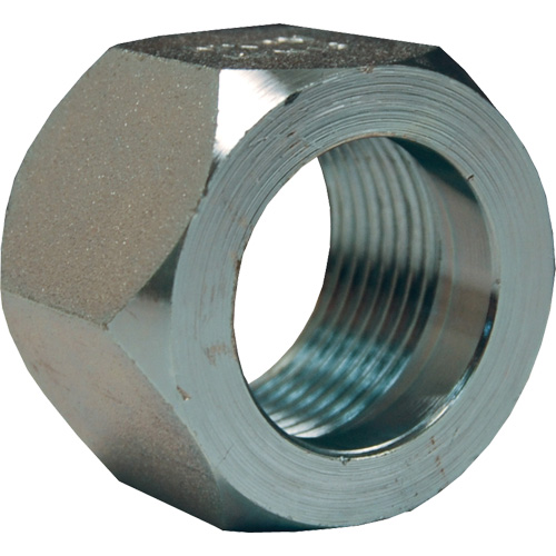 Dixon&reg; Mining Hex Nut, 1", Zinc Plated, NPT Thread Seaboard Timber Mart
