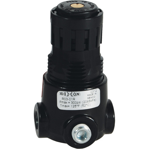 Wilkerson Miniature Regulator R03, 1/8" NPT, 300 psi Max. PSI, Standard Seaboard Timber Mart