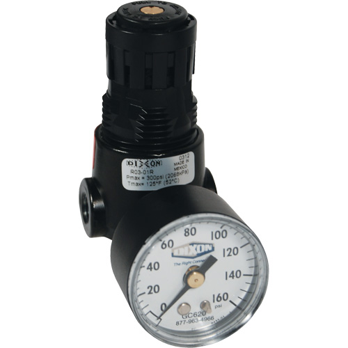 Wilkerson Miniature Regulator R04, 1/4" NPT, 300 psi Max. PSI, Standard Seaboard Timber Mart