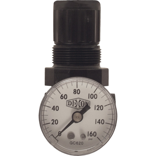 Series 1 Miniature Regulator, 1/8" NPT, 100 psi Max. PSI, Standard Seaboard Timber Mart