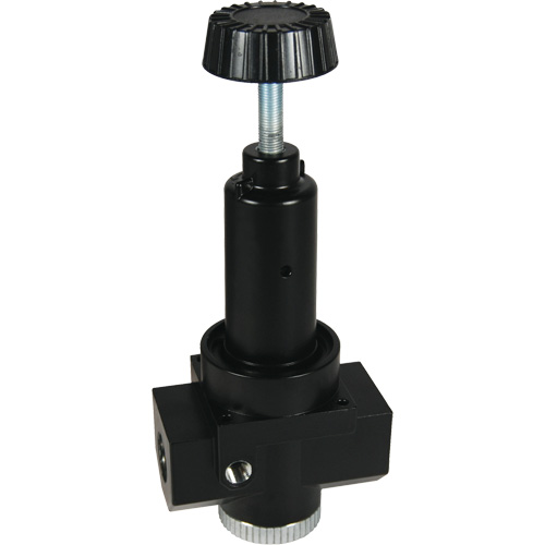 Wilkerson High Flow Regulator R30, 3/4" NPT, 300 psi Max. PSI, Standard Seaboard Timber Mart