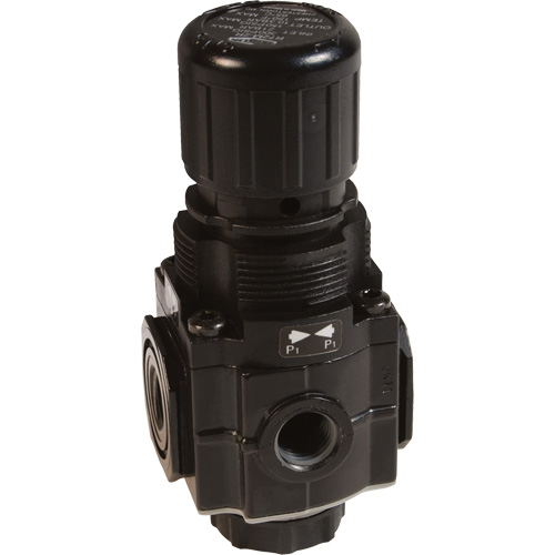Series 1 Manifold Regulator, 1/4" NPT, 150 PSI Max. PSI, Standard Seaboard Timber Mart