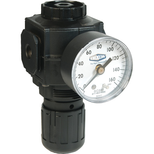 Series 1 Compact Regulator, 1/2" NPT, 150 PSI Max. PSI, Standard Seaboard Timber Mart